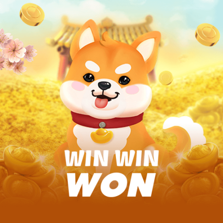 game win win won
